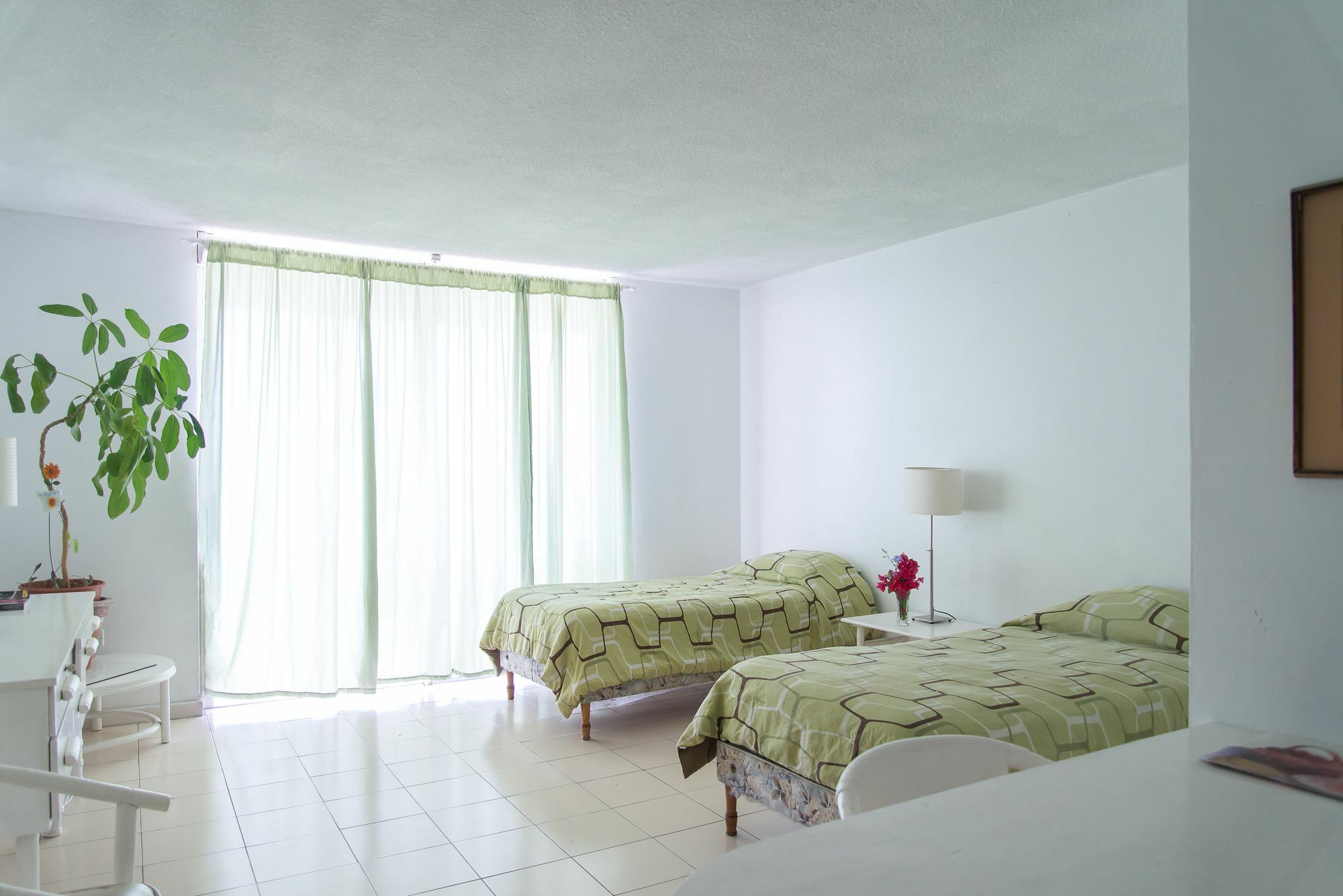 Montego Bay Club Apartments Exterior foto